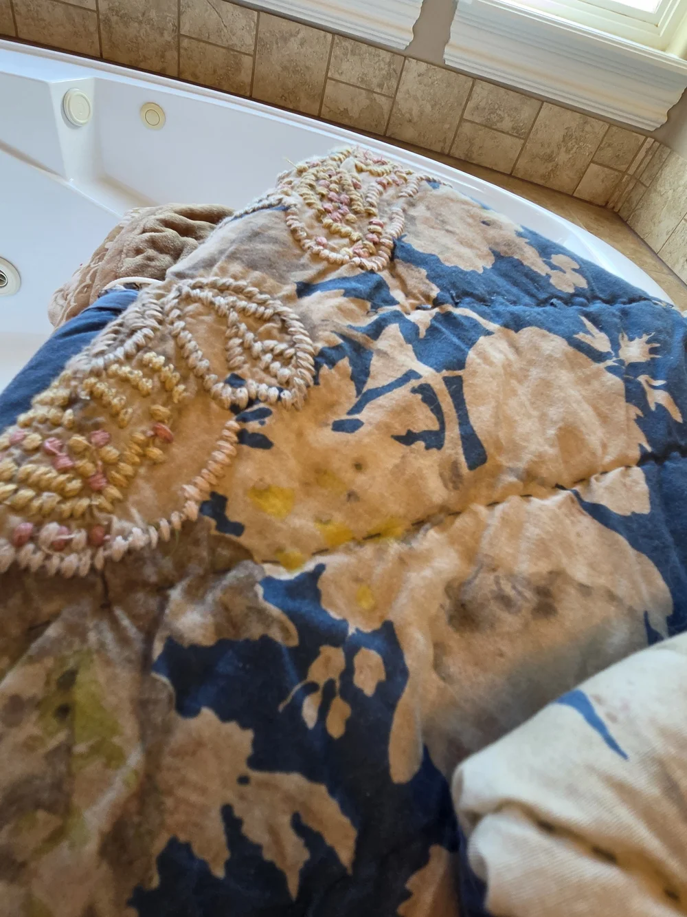 Pottery Barn Bethany Euro Sham Set Of Two